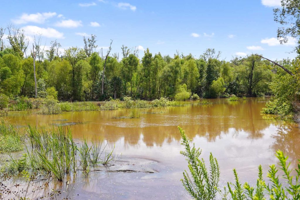 Meet our real estate experts today